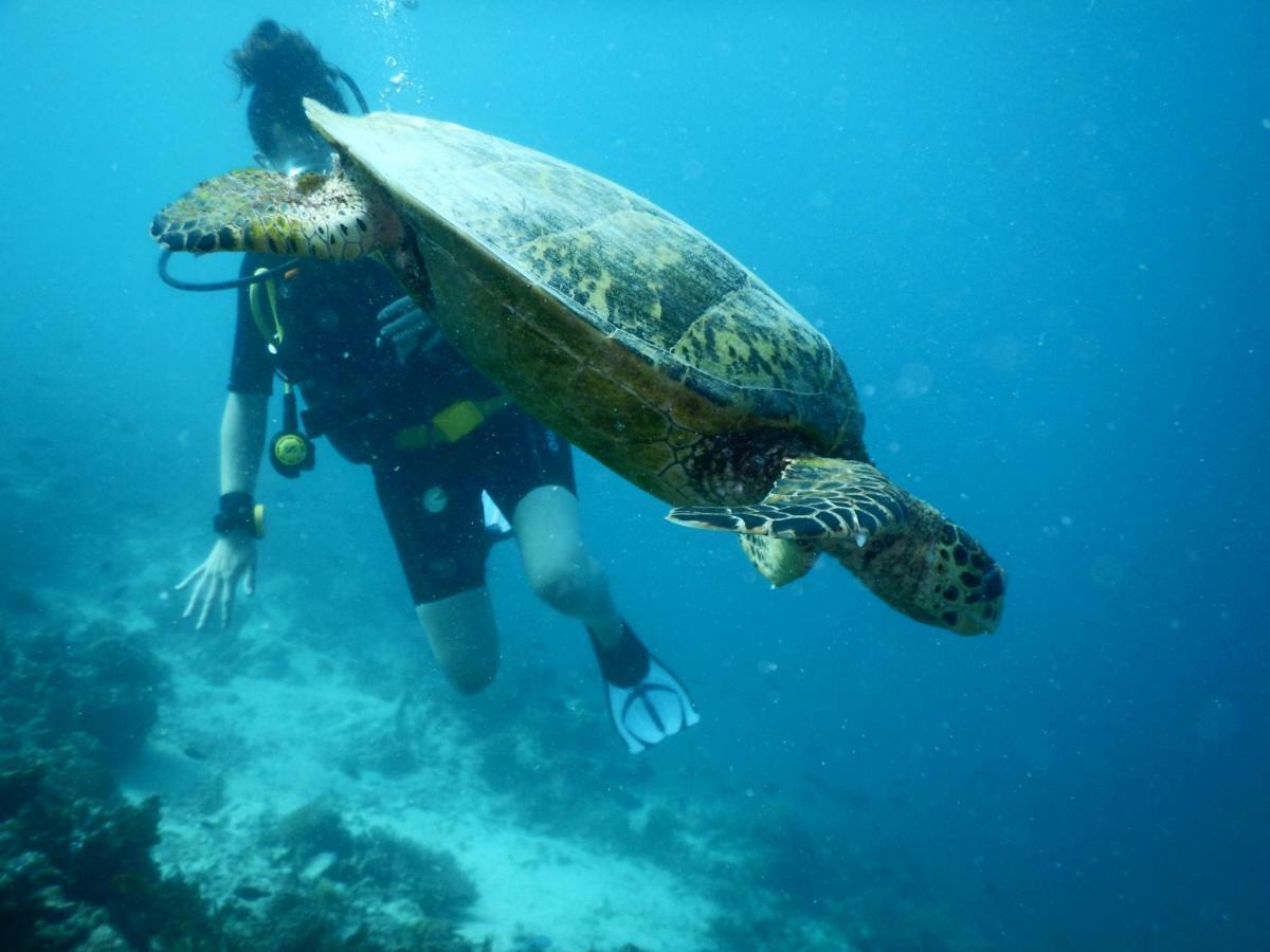 Ithaa Dhigurah Maldives ดิห์กูราห์ ภายนอก รูปภาพ